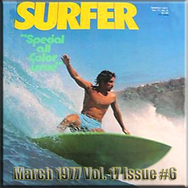 1977 Hawaiian Michael Ho Surfing Vintage Surfer Magazine T-Shirt