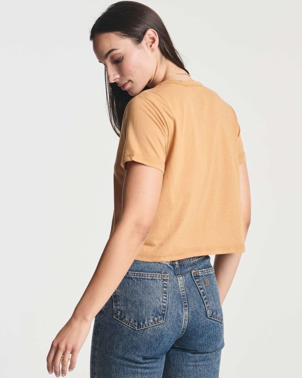 4 Pack: Women's Cotton Short Sleeve Crop Top – Cropped Casual Crew Neck T-Shirts (Available in Plus Size)